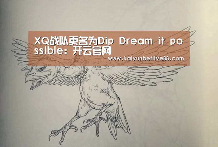 XQ战队更名为Dip Dream it possible:开云官网(图3) 开云真人