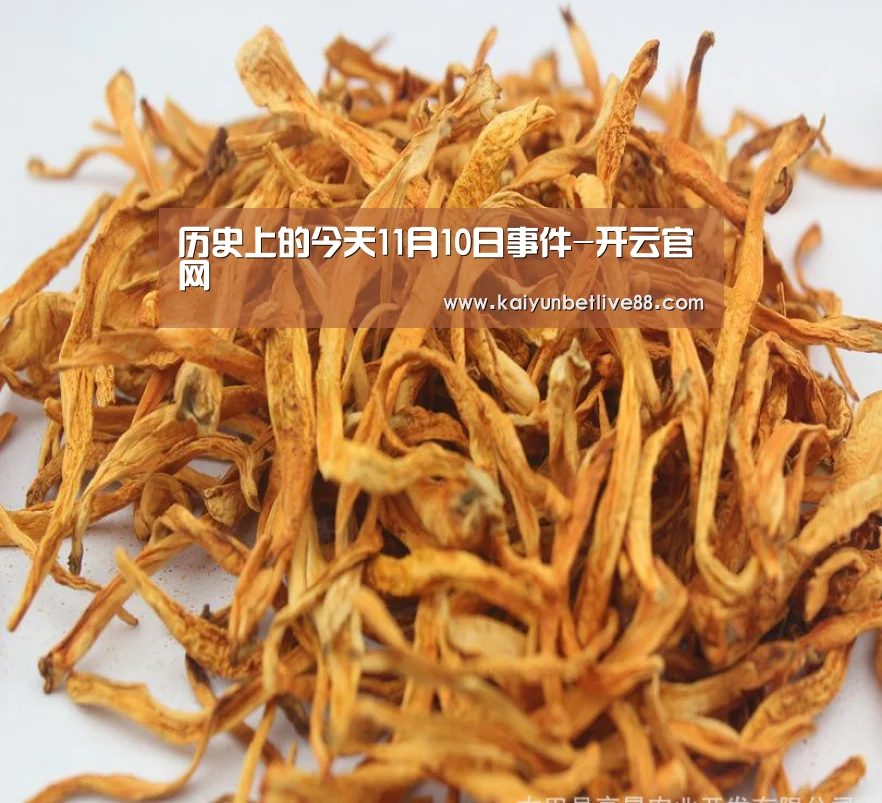 开云真人