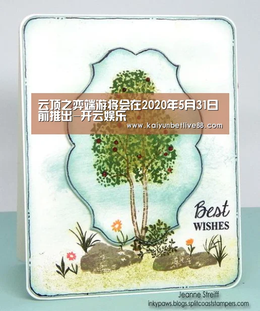 云顶之弈端游将会在2020年5月31日前推出-开云娱乐(图1) 开云真人