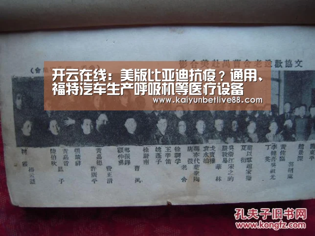 开云真人