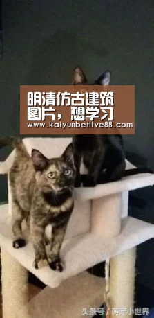 明清仿古建筑图片,想学习明清古建筑,有什么书:开云在线(图3) 开云娱乐